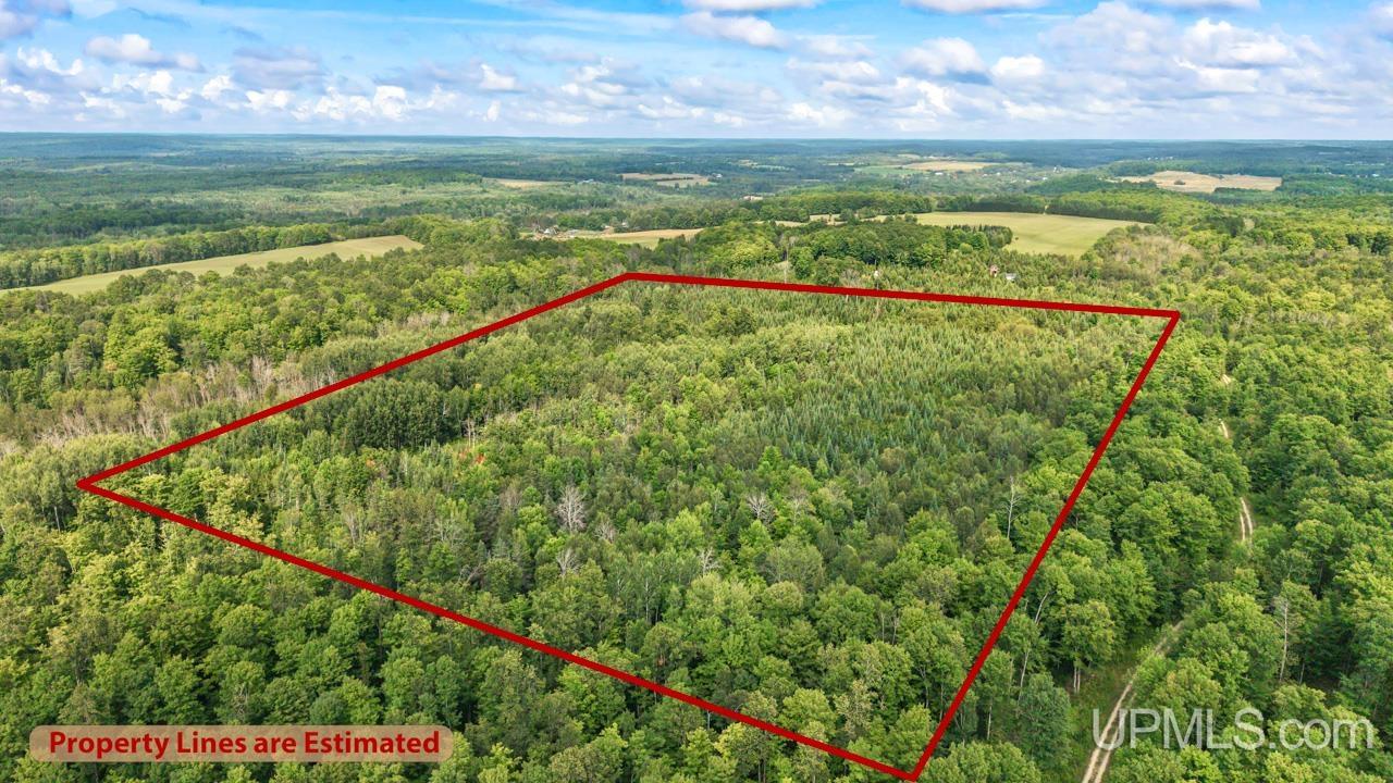 Tbd Tbd Bartels Road Felch, MI 49831 - Photo 6 of 16 Gallery Image 6