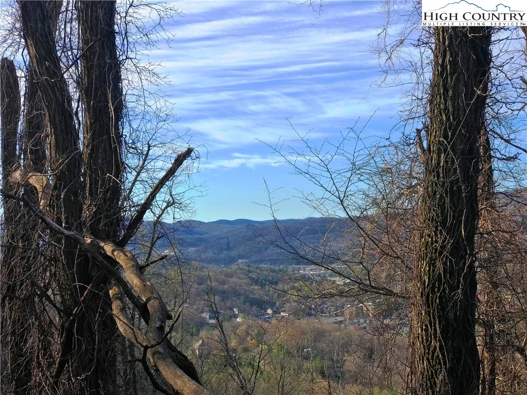 East Junaluska (12 Acres) Road Boone, NC 28607 - Photo 2 of 4 Gallery Image 2