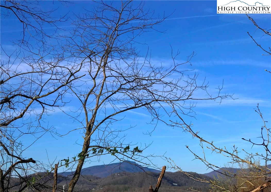 East Junaluska (12 Acres) Road Boone, NC 28607 - Photo 3 of 4 Gallery Image 3