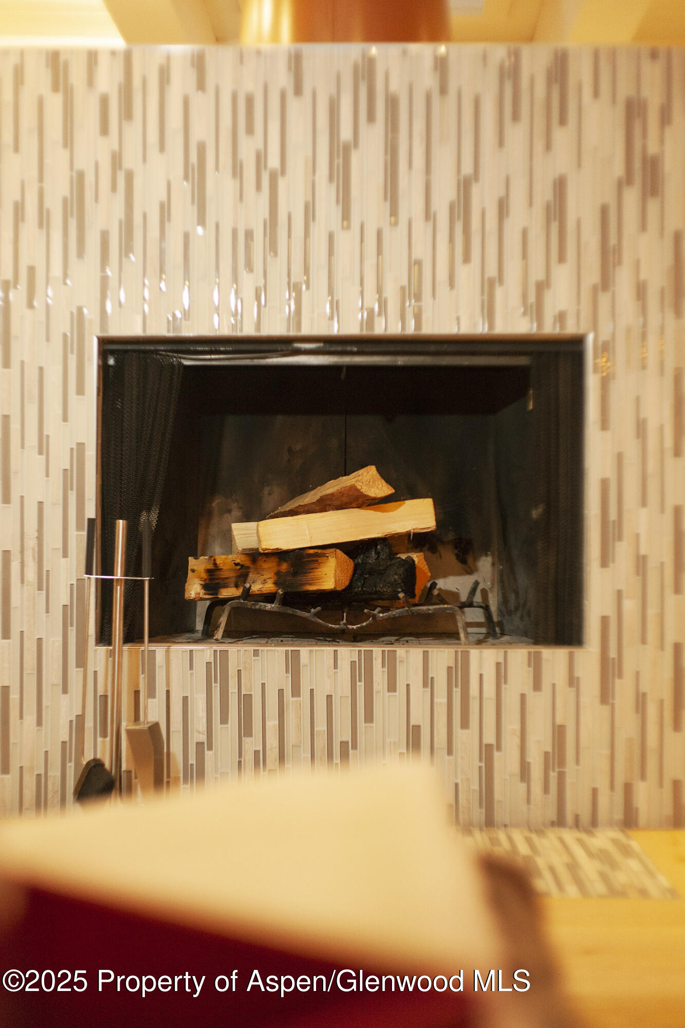 1039 East Cooper Avenue, Unit 16A Aspen, CO 81611 - Photo 10 of 37