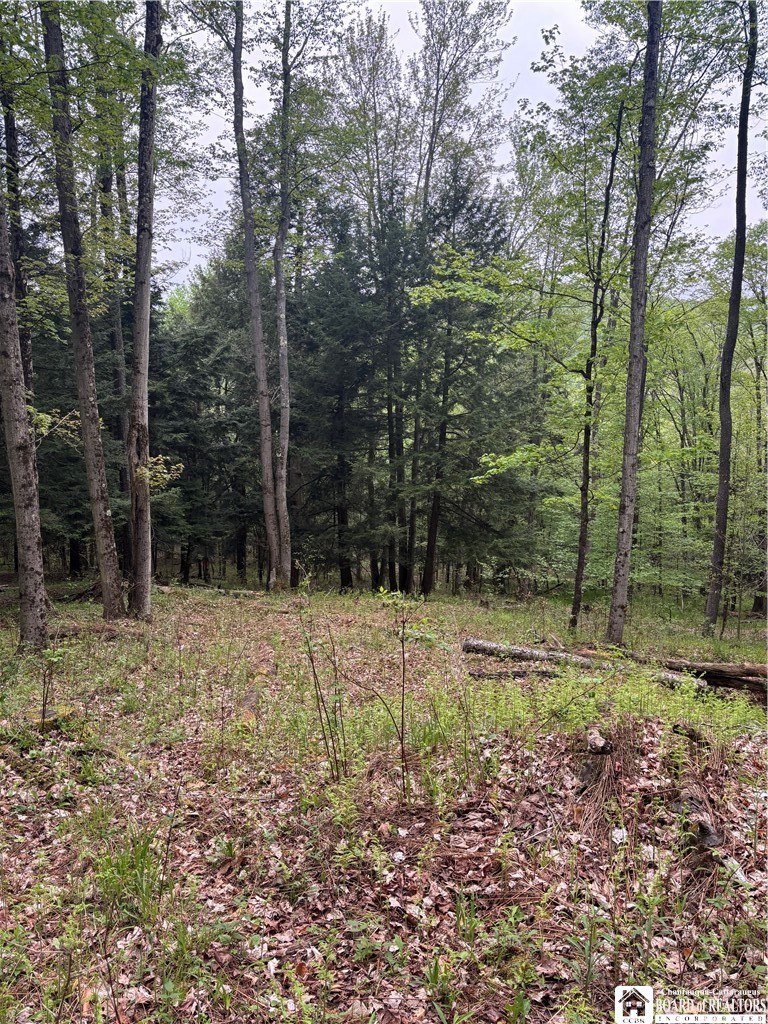 Fulmer Valley Road Wellsville, NY 14895 - Photo 25 of 49