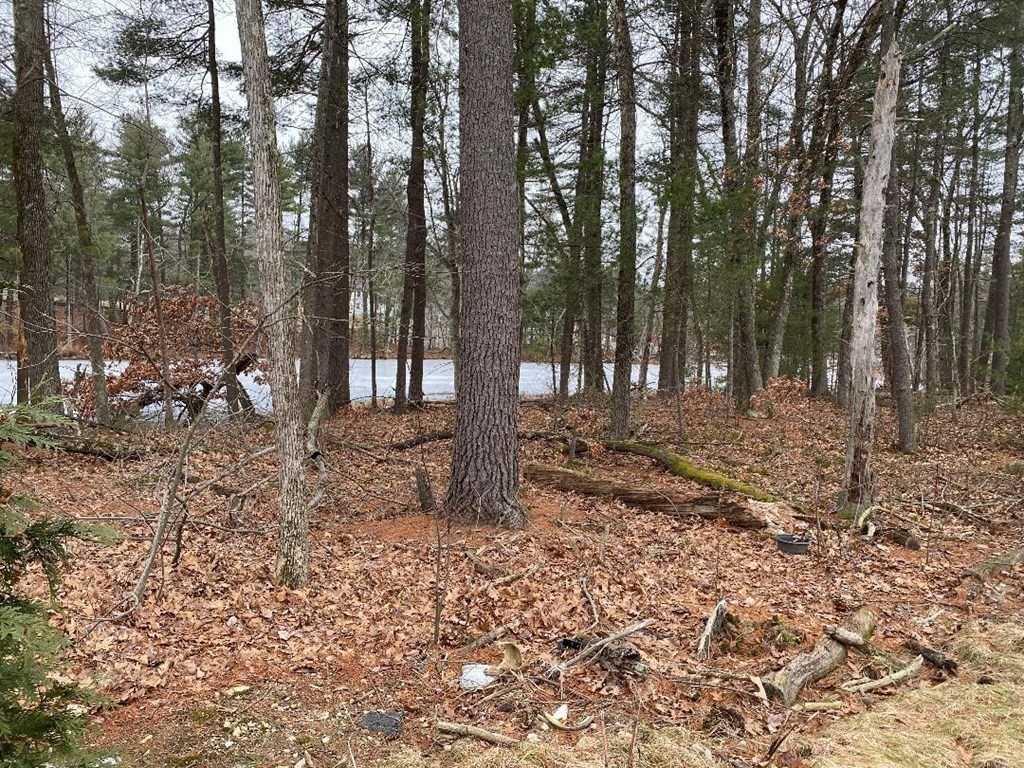 85 Littleton Road Ayer, MA 01432 - Photo 13 of 15 a backyard of a house with lots of green space