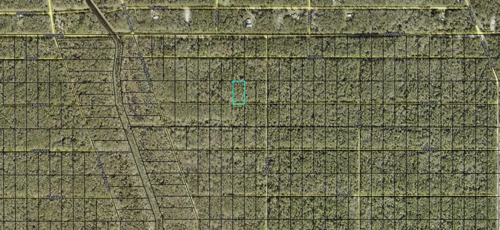 Xx Fagan Street Hastings, FL 32145 - Photo 1 of 2