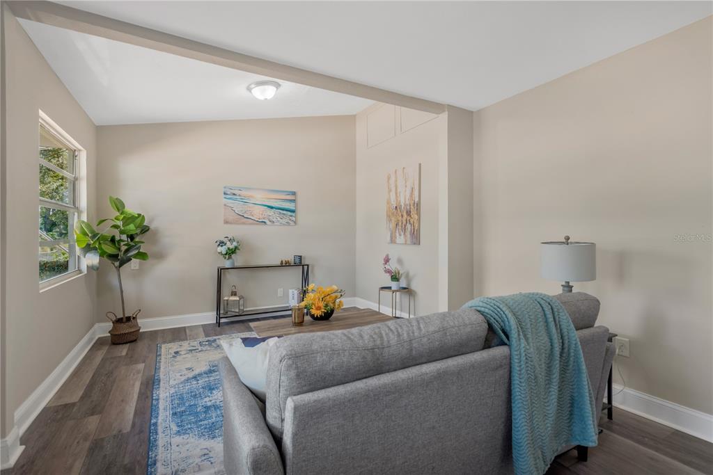 5226 Lime Avenue Seffner, FL 33584 - Photo 13 of 20 a living room with a couch and a potted plant