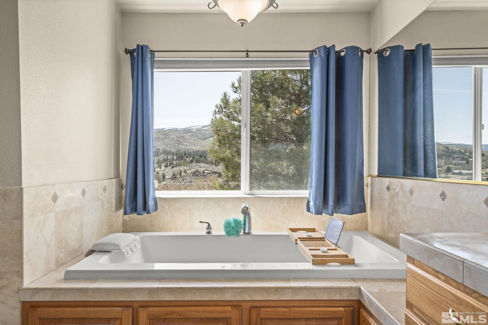 480 Duck Hill Road Washoe Valley, NV 89704 - Photo 21 of 46 a view of a bath tub sitting in a bathroom next to a window