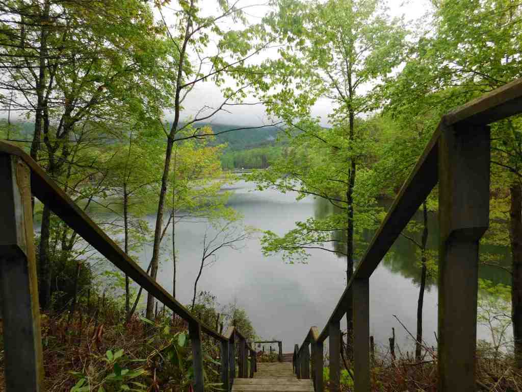0 Lake Che-0-hee Road Tamassee, SC 29686 - Photo 24 of 36 Gallery Image 24