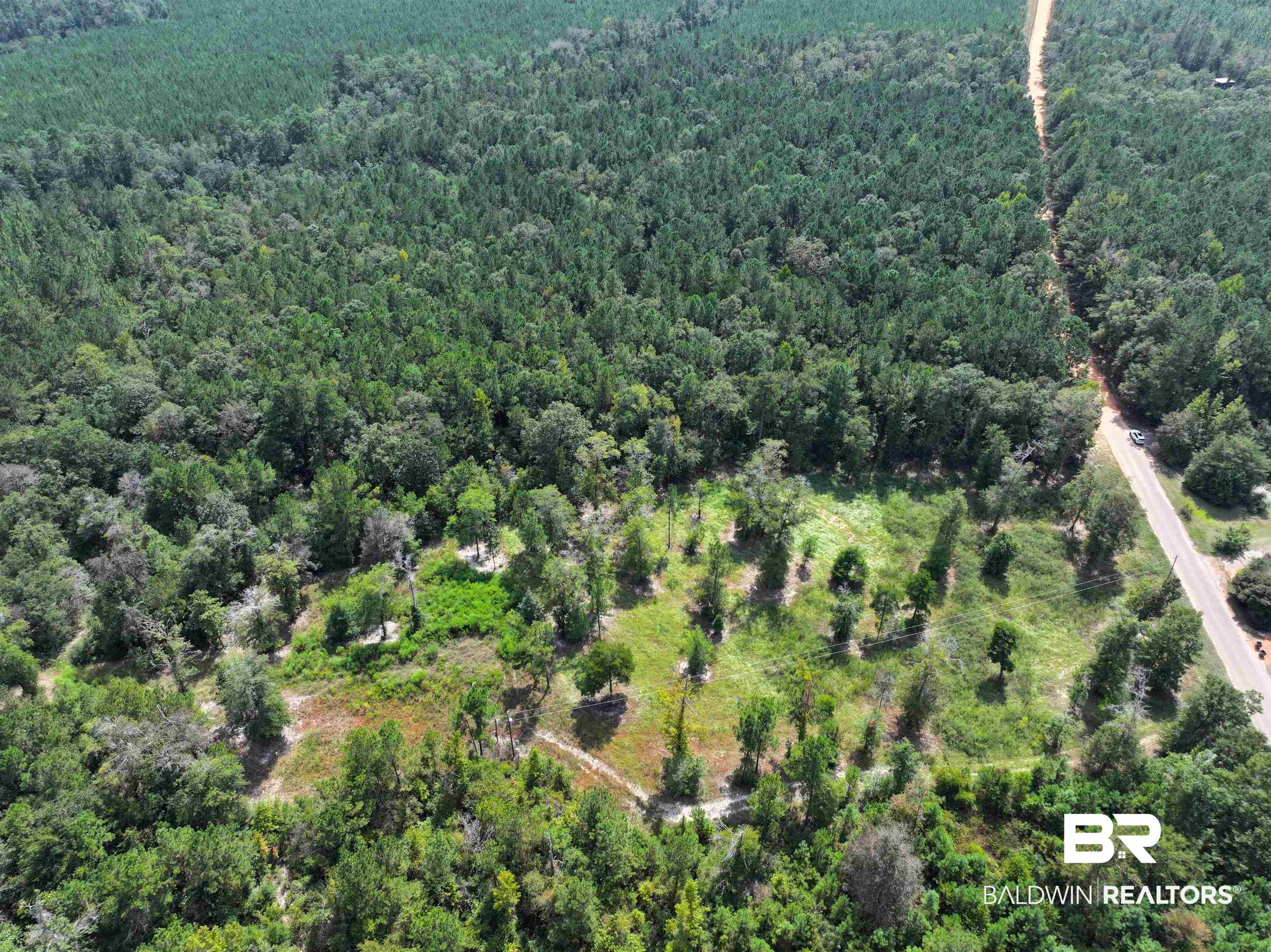 0 Dixon Nursery Road Brewton, AL 36426 - Photo 4 of 4 Aerial view of a forest