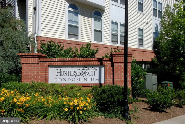 a street view with tall buildings and a yard