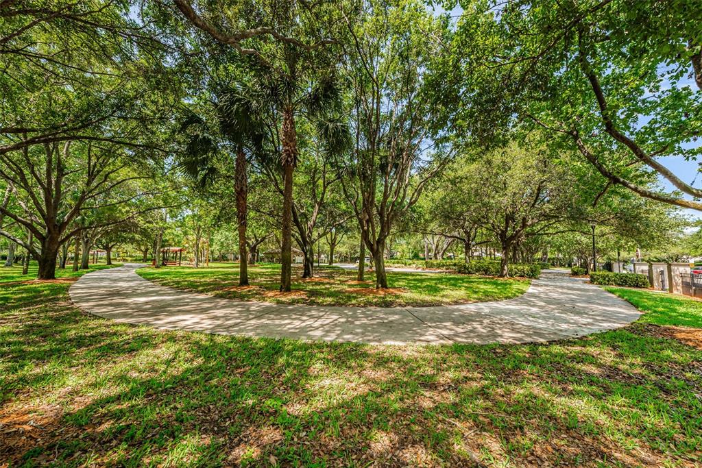 1821 Alvara Place Trinity, FL 34655 - Photo 40 of 63
