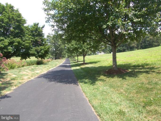 2048 Mt Horeb Road Street, MD 21154 - Photo 23 of 26 Tree-lined Private Drive