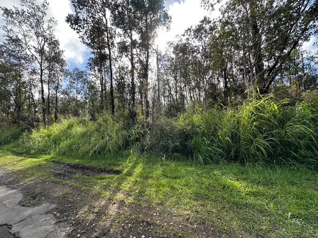 a view of outdoor space and green space