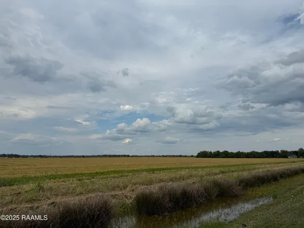 $212,500 | Tbd White Oak Highway, Branch, LA 70516