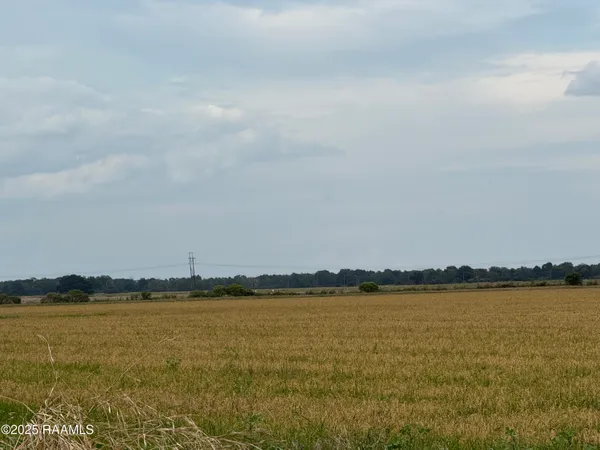 $212,500 | Tbd White Oak Highway, Branch, LA 70516