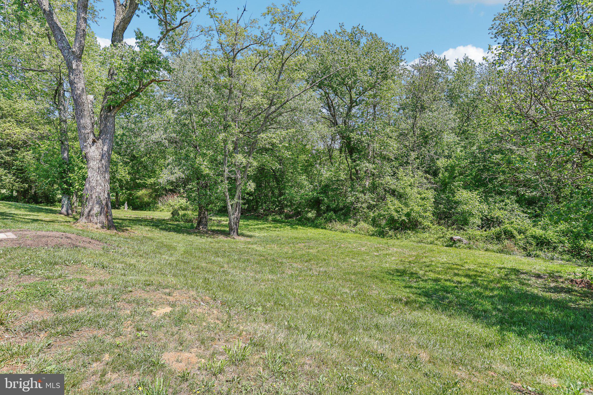 302 Fenwick Road Pilesgrove, NJ 08098 - Photo 40 of 51 a view of outdoor space and yard