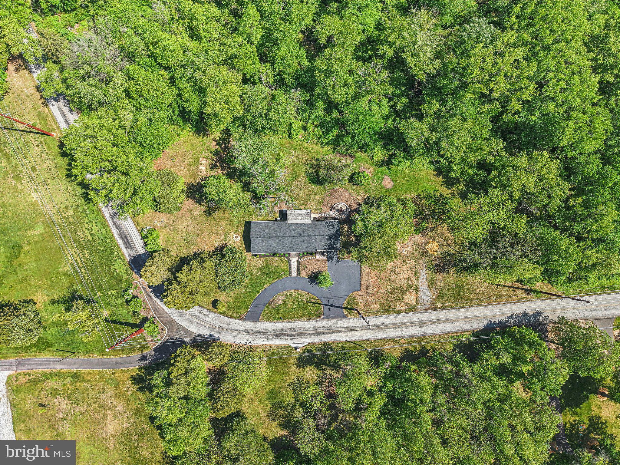 302 Fenwick Road Pilesgrove, NJ 08098 - Photo 44 of 51 a view of a plant in a garden
