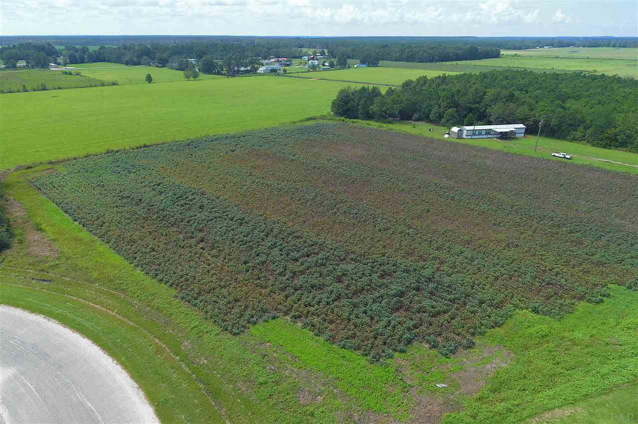 9 Jack Springs Road Atmore, AL 36502 - Photo 13 of 26