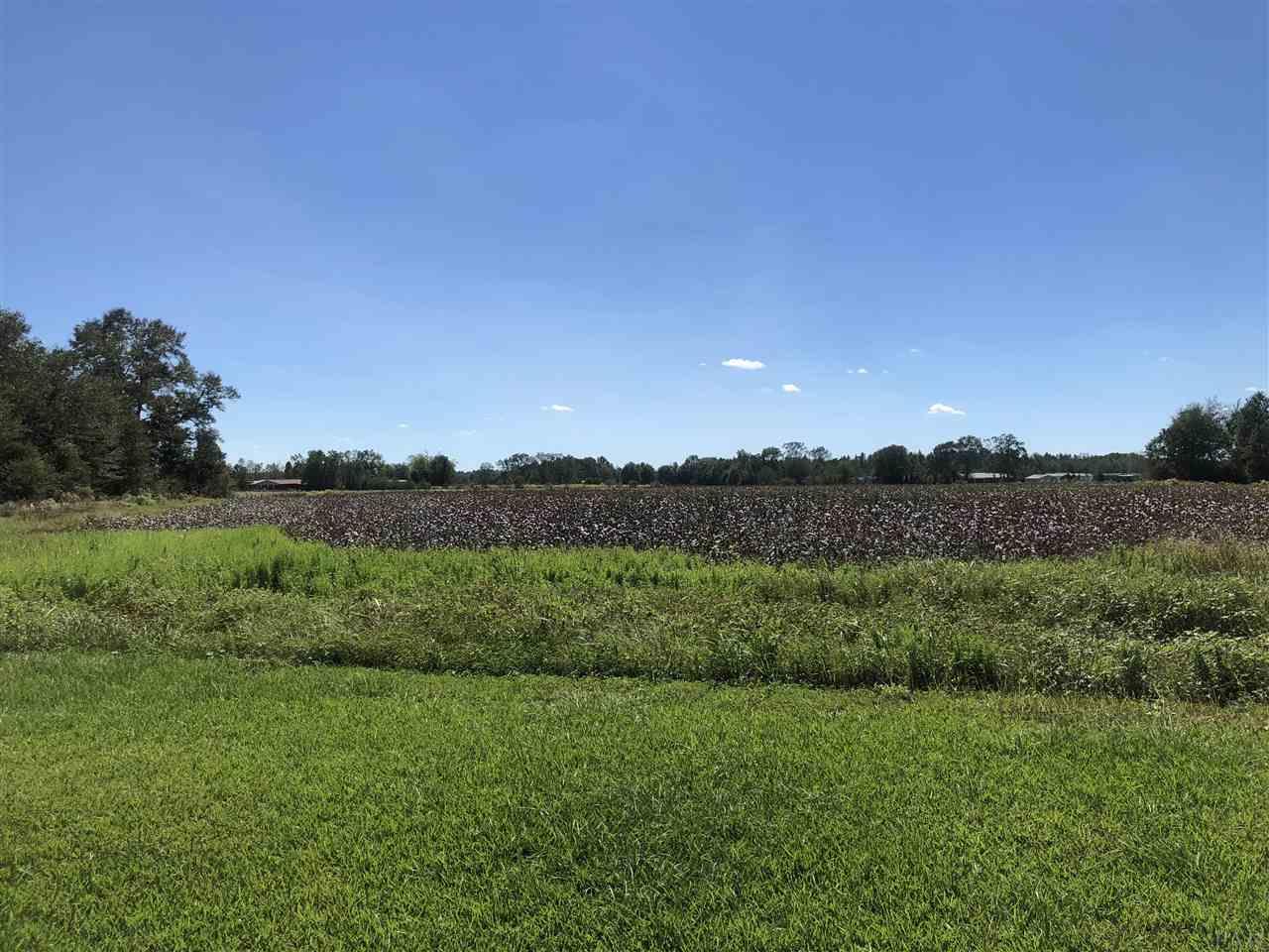 9 Jack Springs Road Atmore, AL 36502 - Photo 14 of 26