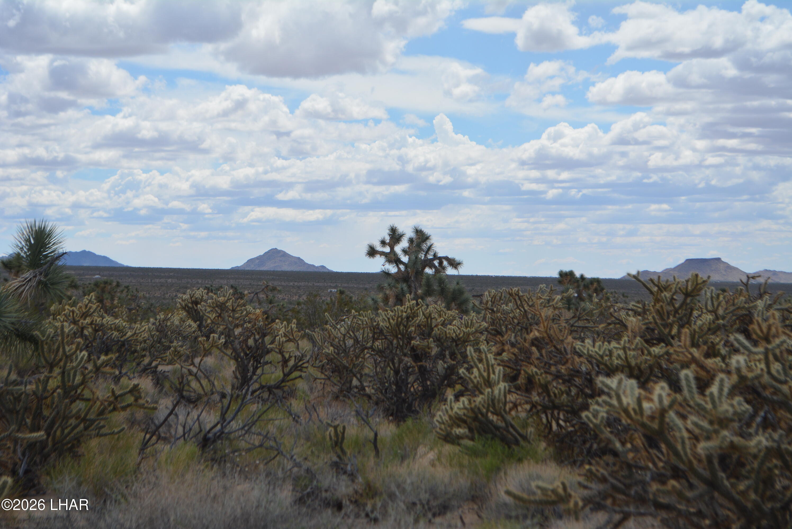 11900 Alan Road Yucca, AZ 86438 - Photo 81 of 93 DSC_1387