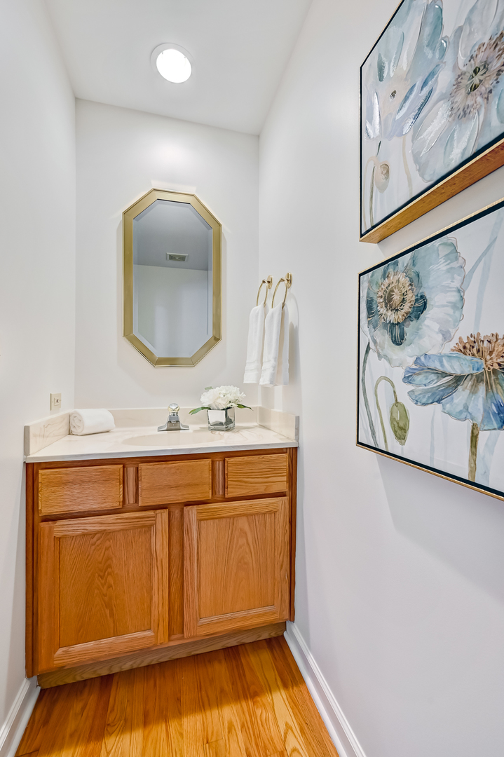 110 Waterside Place Burr Ridge, IL 60527 - Photo 12 of 44 a bathroom with a sink and a mirror