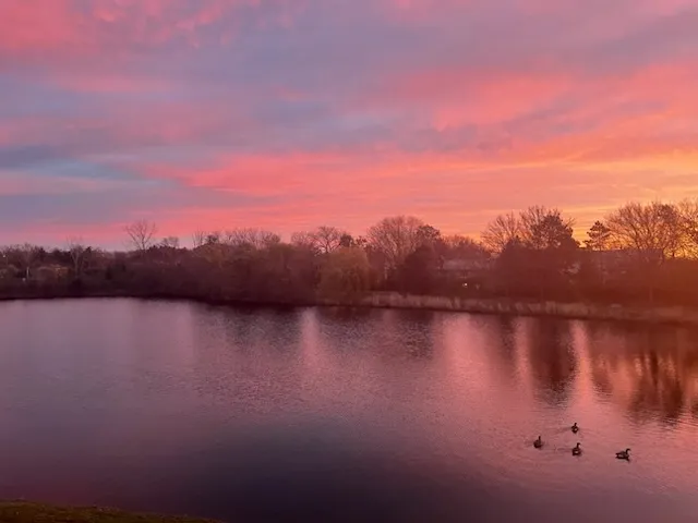 $599,000 | 110 Waterside Place, Burr Ridge, IL 60527