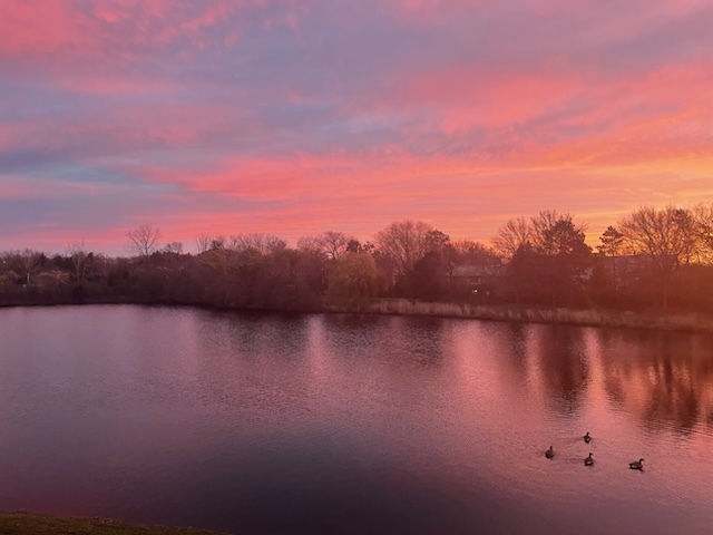 110 Waterside Place Burr Ridge, IL 60527 - Photo 36 of 44 a view of outside space with mountain view in back