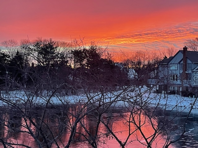 110 Waterside Place Burr Ridge, IL 60527 - Photo 37 of 44 a view of a houses with a yard
