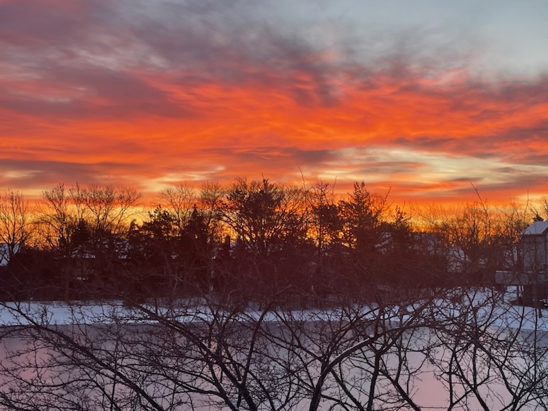 110 Waterside Place Burr Ridge, IL 60527 - Photo 41 of 44 a view of city and mountain