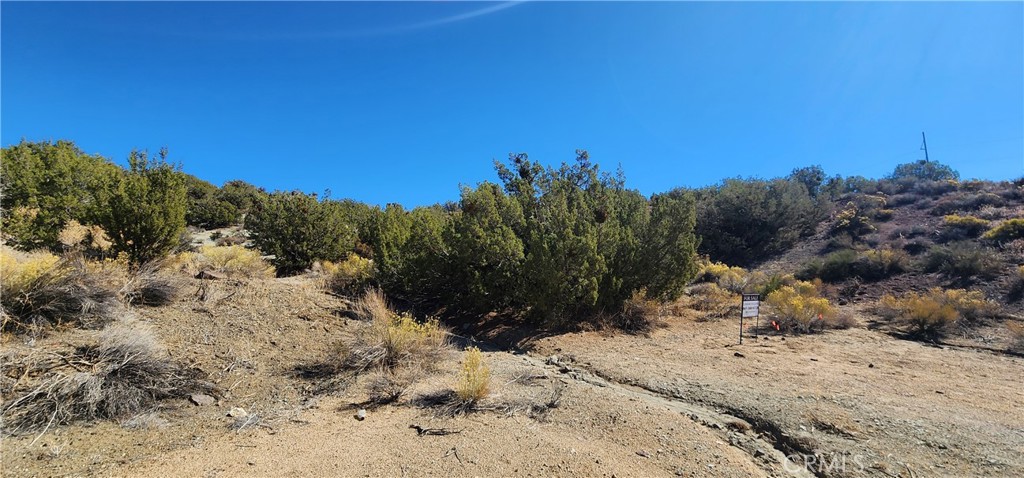 0 Charro Court Tehachapi, CA 93561 - Photo 2 of 11 a view of a yard with a tree