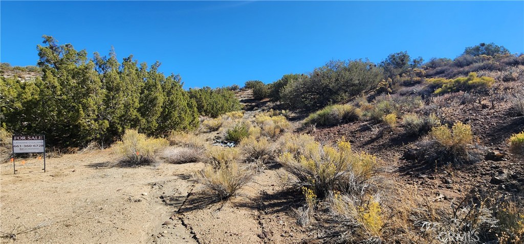 0 Charro Court Tehachapi, CA 93561 - Photo 4 of 11 a view of a covered with snow on the background