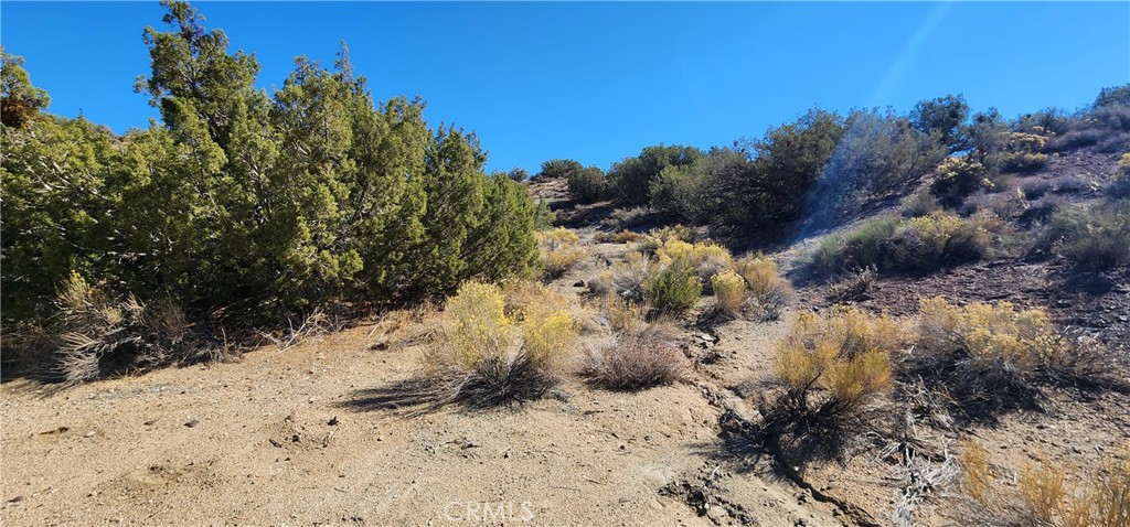 0 Charro Court Tehachapi, CA 93561 - Photo 5 of 11 a view of a dry yard covered with snow in middle of the road
