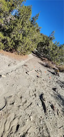 a view of a dry yard covered with snow in the background