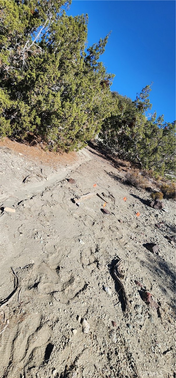 0 Charro Court Tehachapi, CA 93561 - Photo 8 of 11 a view of a dry yard covered with snow in the background
