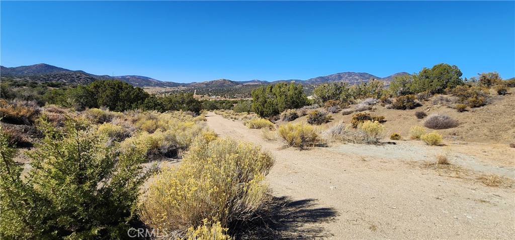 0 Charro Court Tehachapi, CA 93561 - Photo 10 of 11 a view of a yard with a mountain