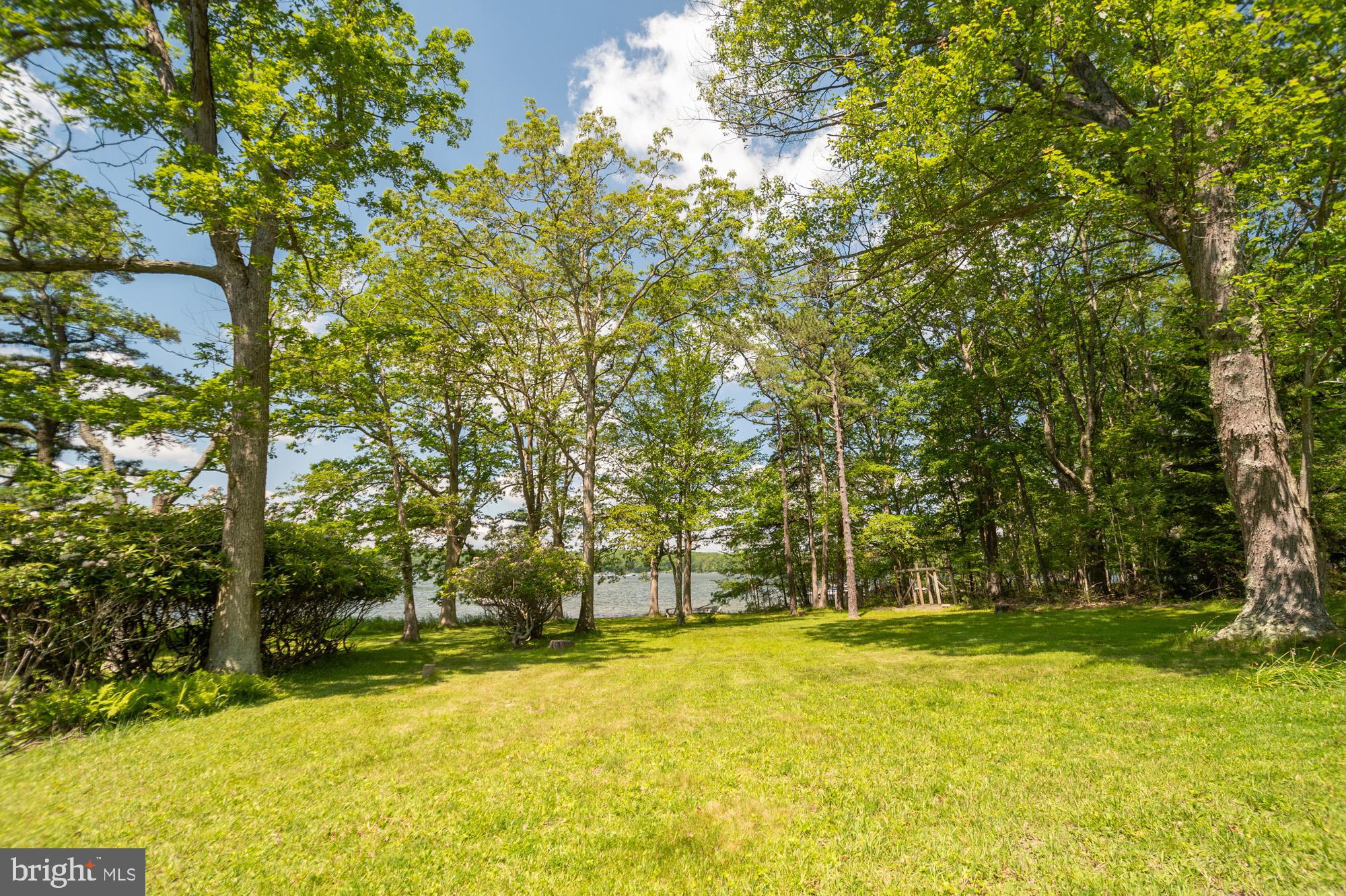 2895 Turkey Neck Road Swanton, MD 21561 - Photo 4 of 62