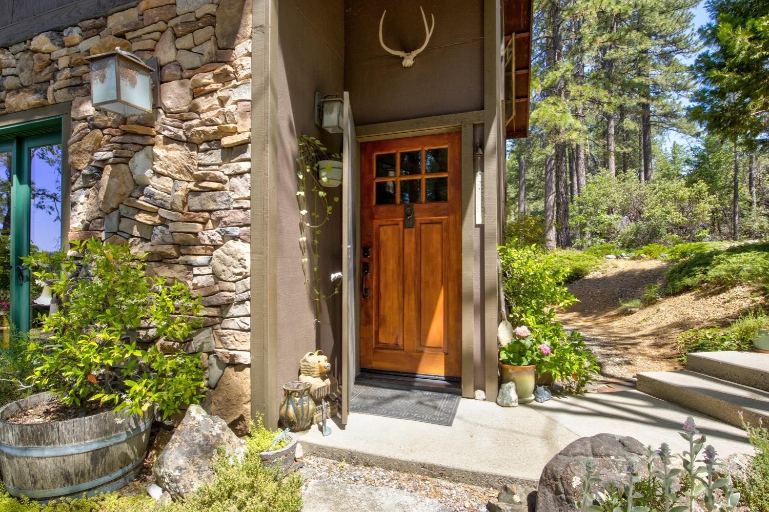 22400 Clute Canyon Road Volcano, CA 95689 - Photo 3 of 73