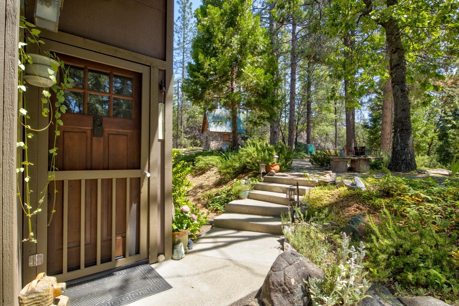 22400 Clute Canyon Road Volcano, CA 95689 - Photo 35 of 73