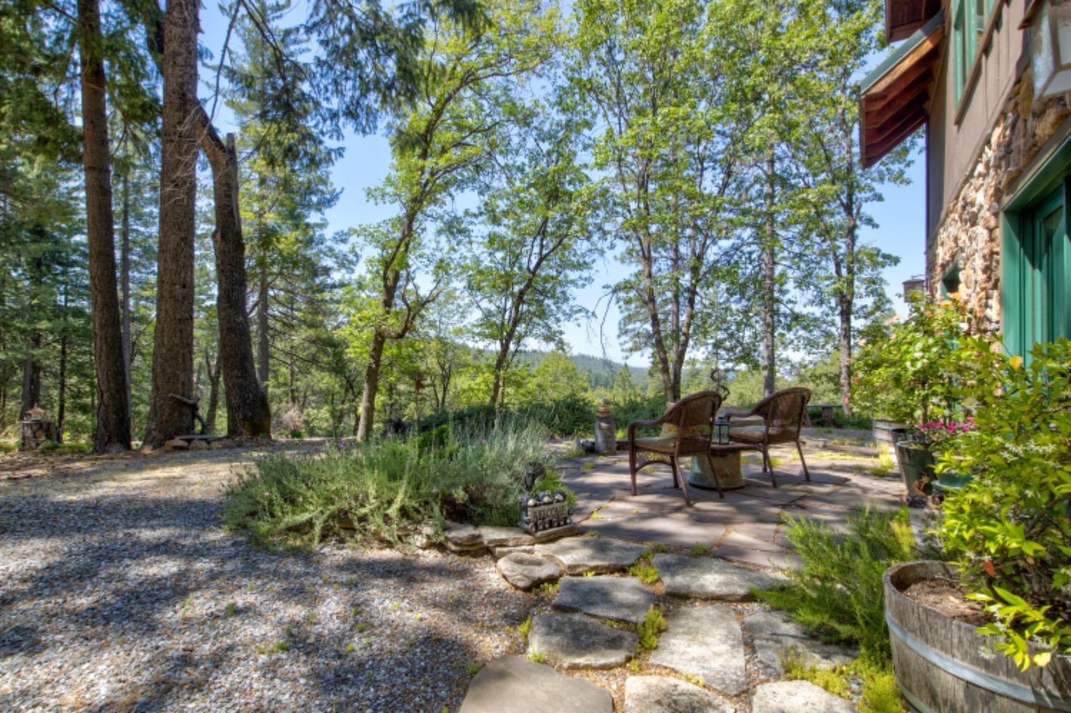 22400 Clute Canyon Road Volcano, CA 95689 - Photo 36 of 73