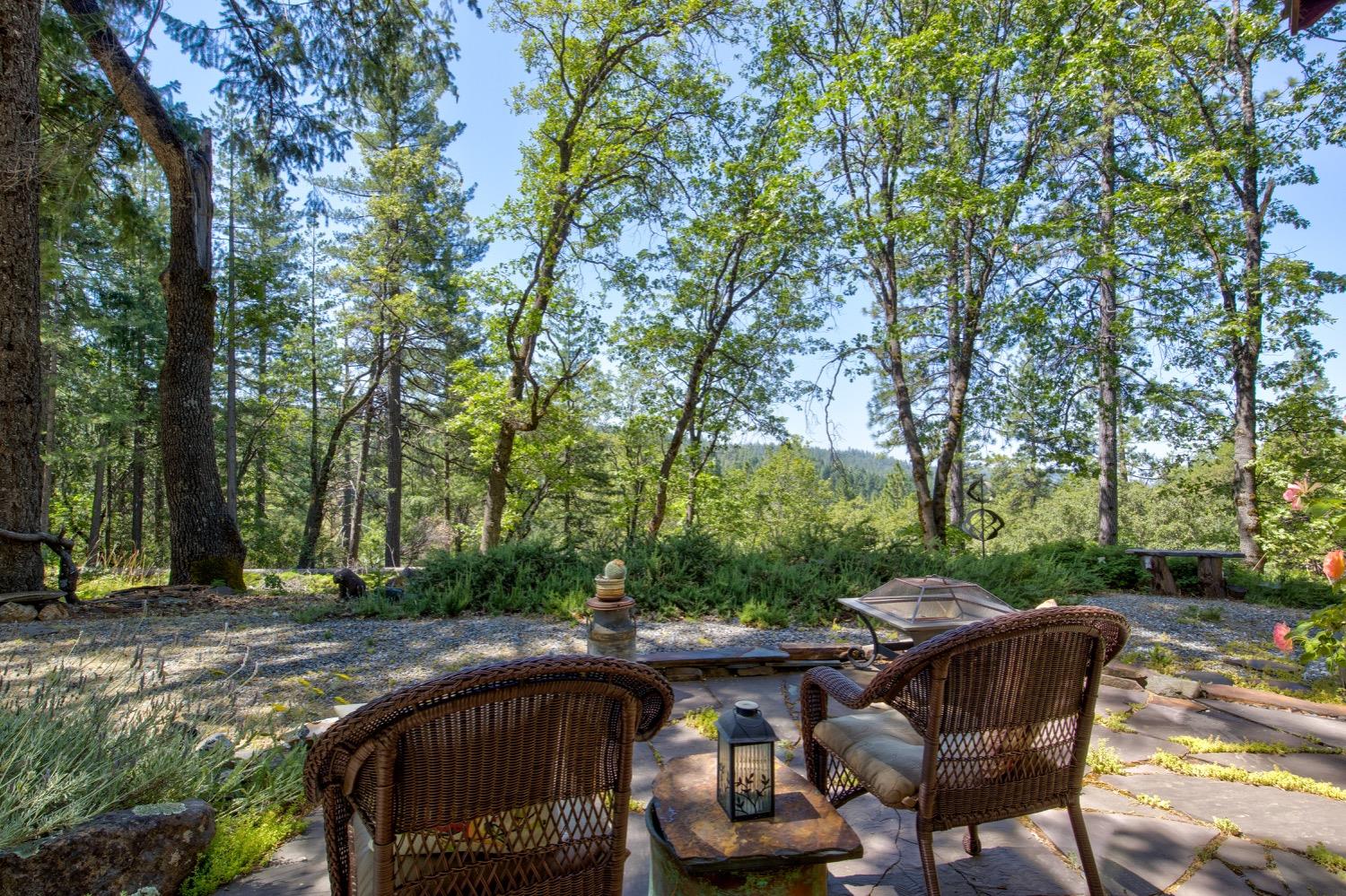 22400 Clute Canyon Road Volcano, CA 95689 - Photo 38 of 73