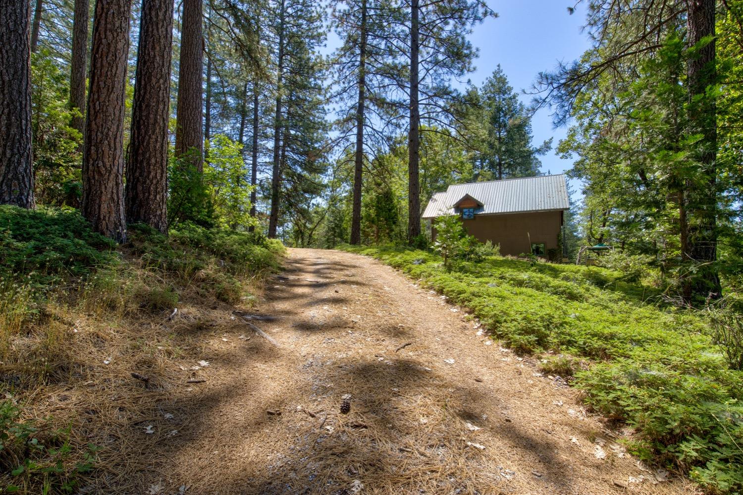 22400 Clute Canyon Road Volcano, CA 95689 - Photo 48 of 73