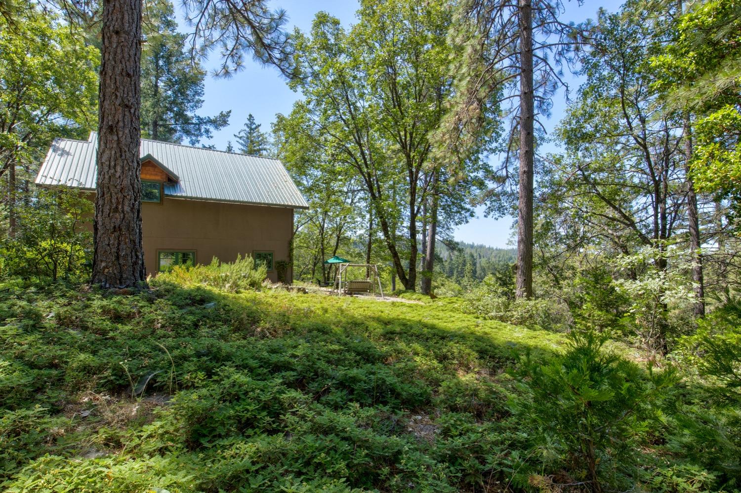 22400 Clute Canyon Road Volcano, CA 95689 - Photo 49 of 73