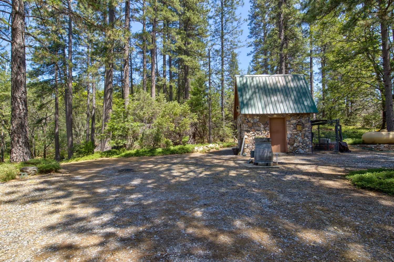 22400 Clute Canyon Road Volcano, CA 95689 - Photo 50 of 73