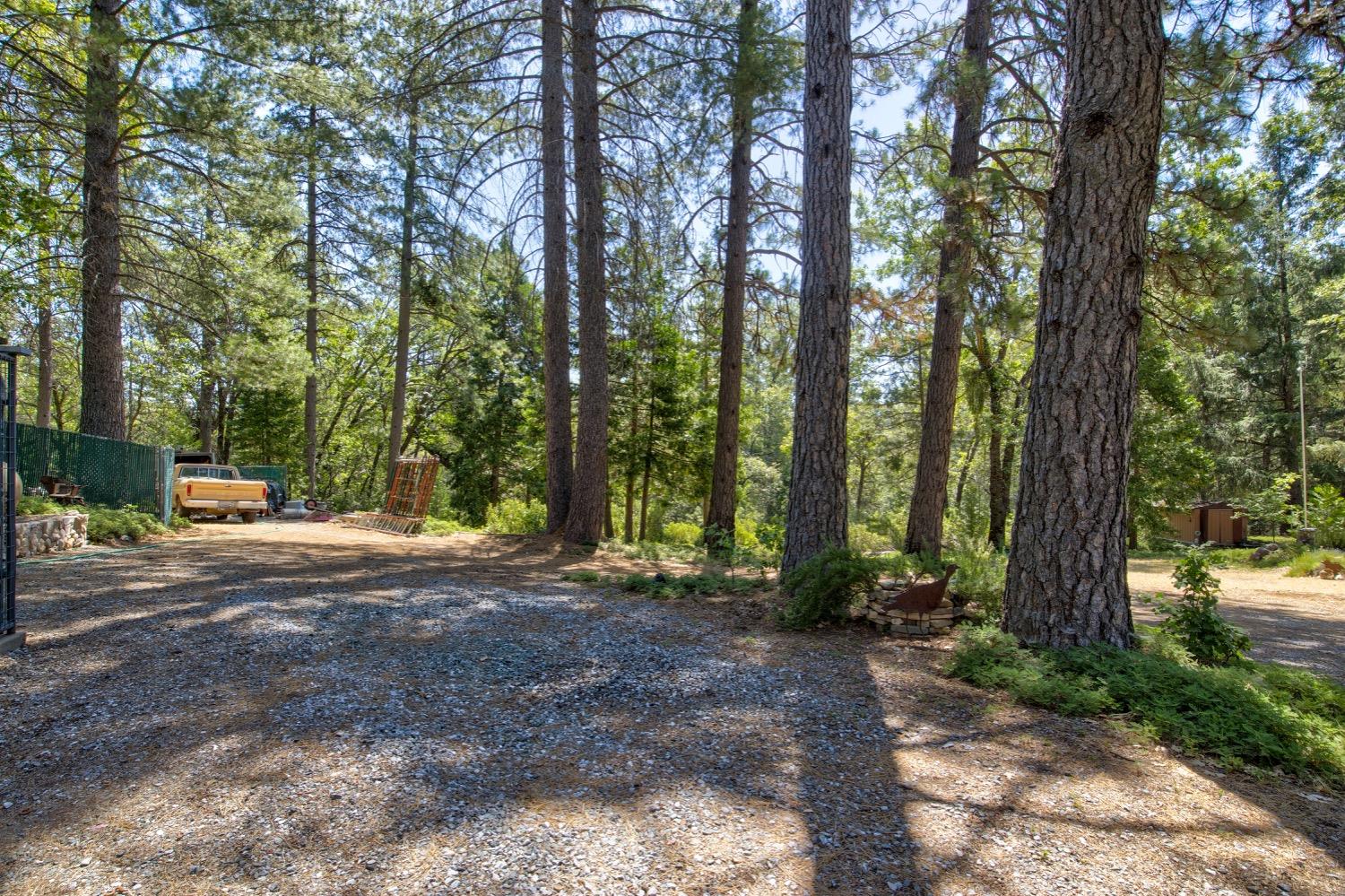 22400 Clute Canyon Road Volcano, CA 95689 - Photo 54 of 73