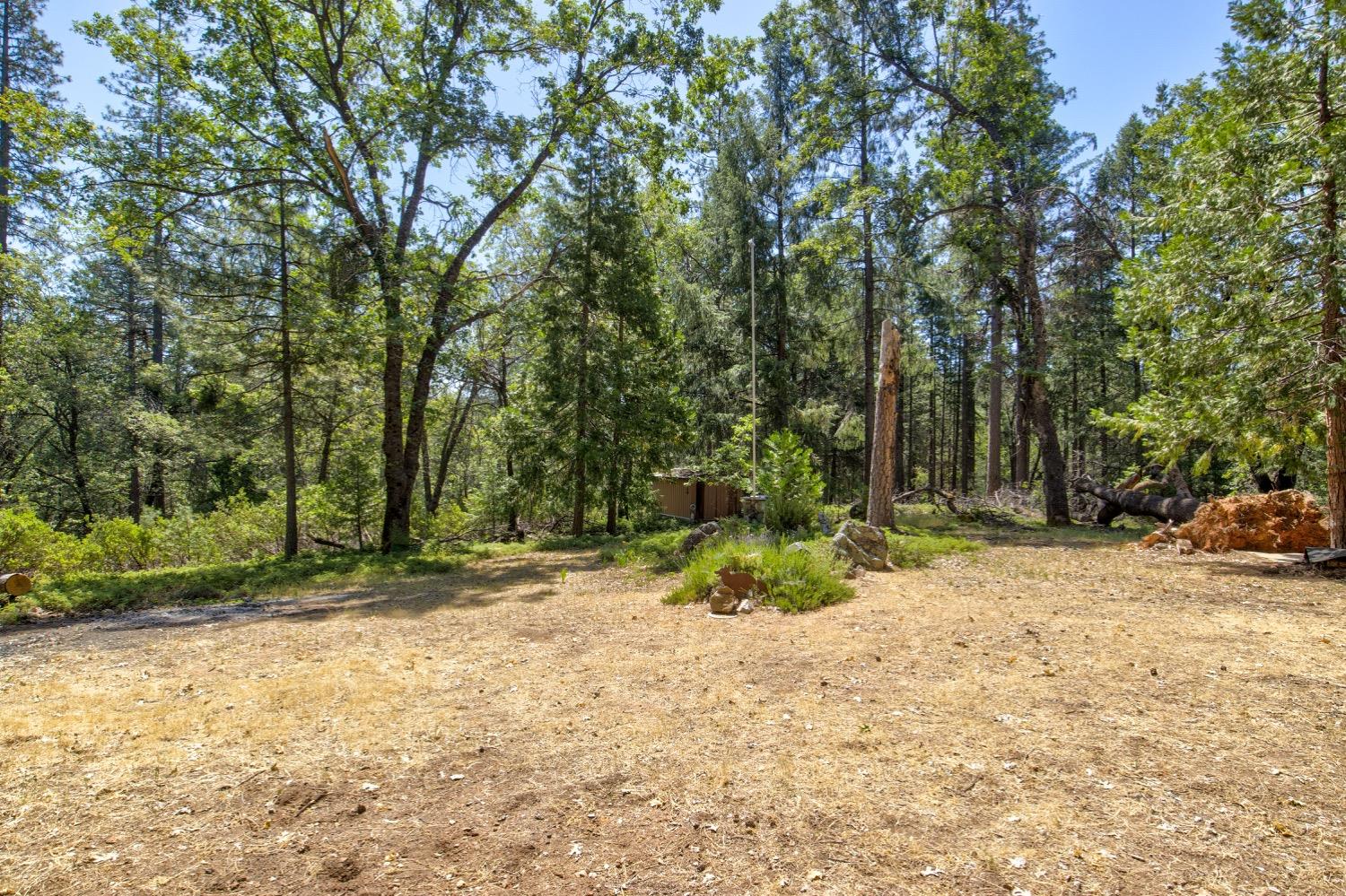 22400 Clute Canyon Road Volcano, CA 95689 - Photo 58 of 73