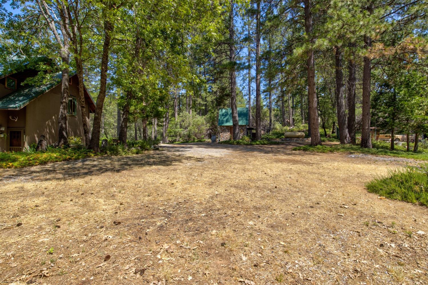 22400 Clute Canyon Road Volcano, CA 95689 - Photo 64 of 73