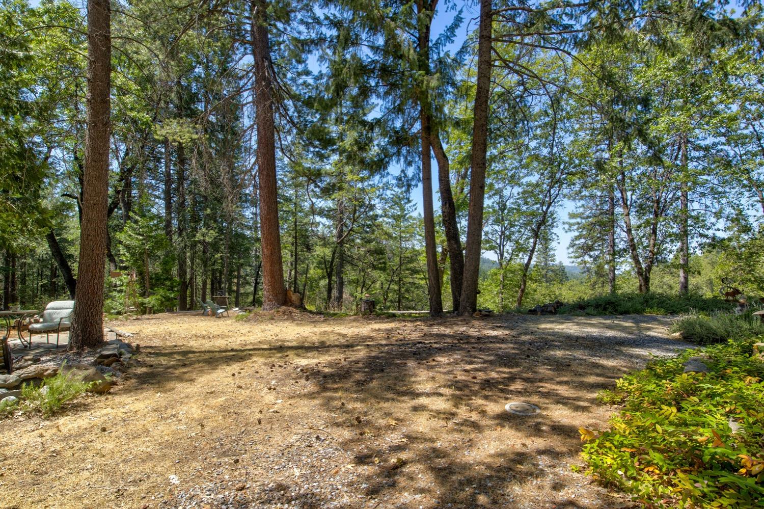 22400 Clute Canyon Road Volcano, CA 95689 - Photo 65 of 73