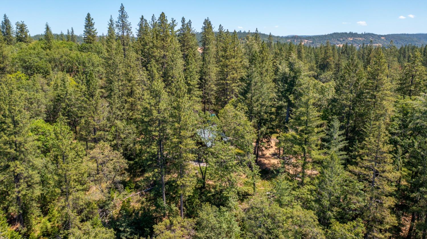 22400 Clute Canyon Road Volcano, CA 95689 - Photo 68 of 73
