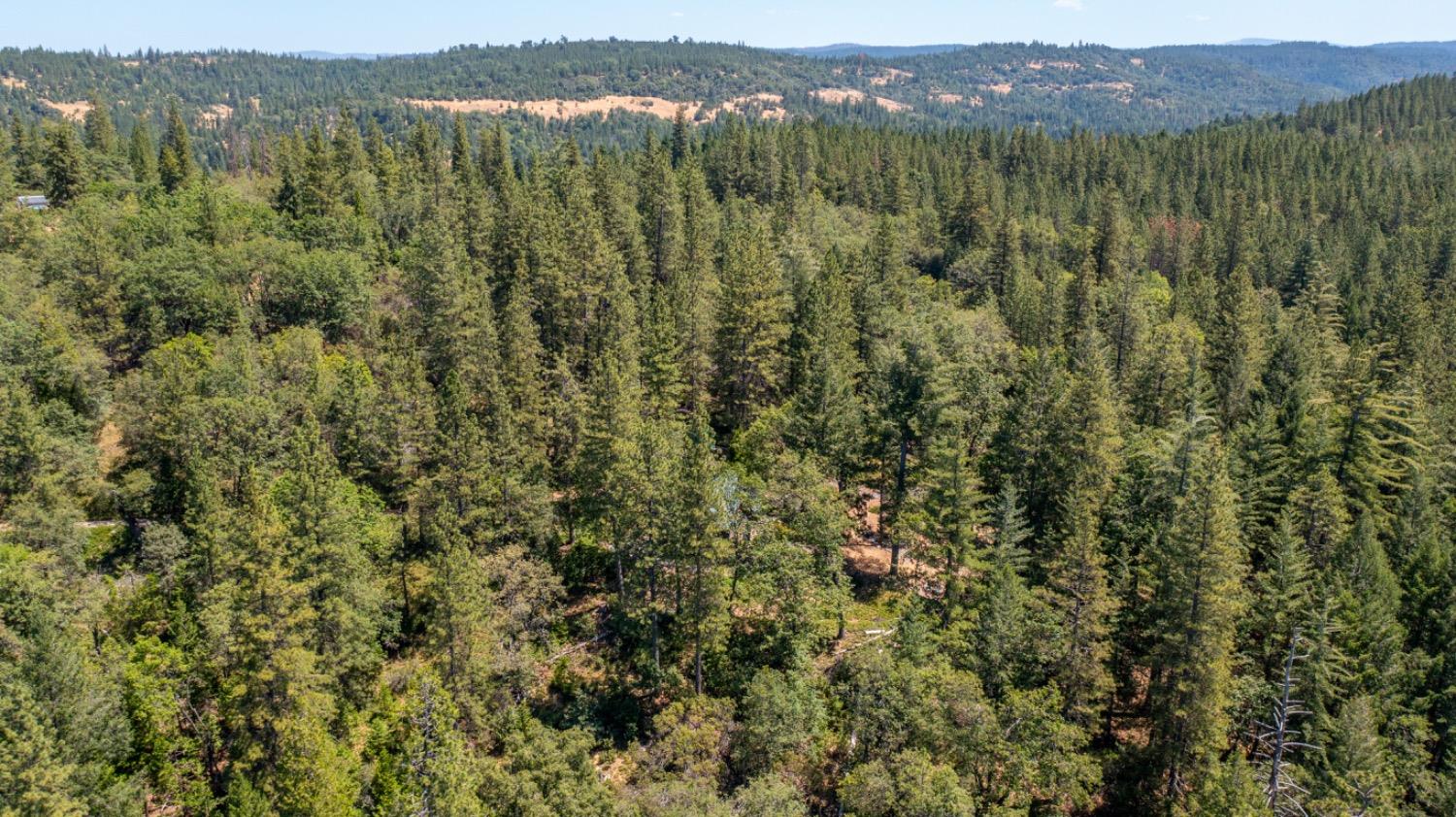 22400 Clute Canyon Road Volcano, CA 95689 - Photo 69 of 73