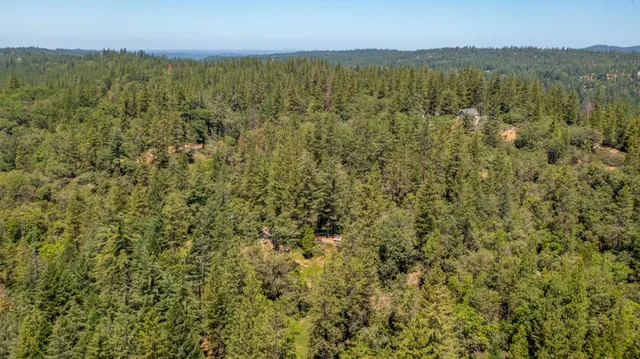 $397,000 | 22400 Clute Canyon Road, Volcano, CA 95689