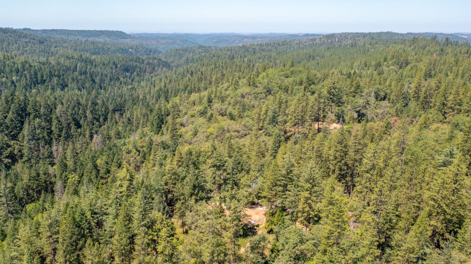 22400 Clute Canyon Road Volcano, CA 95689 - Photo 72 of 73