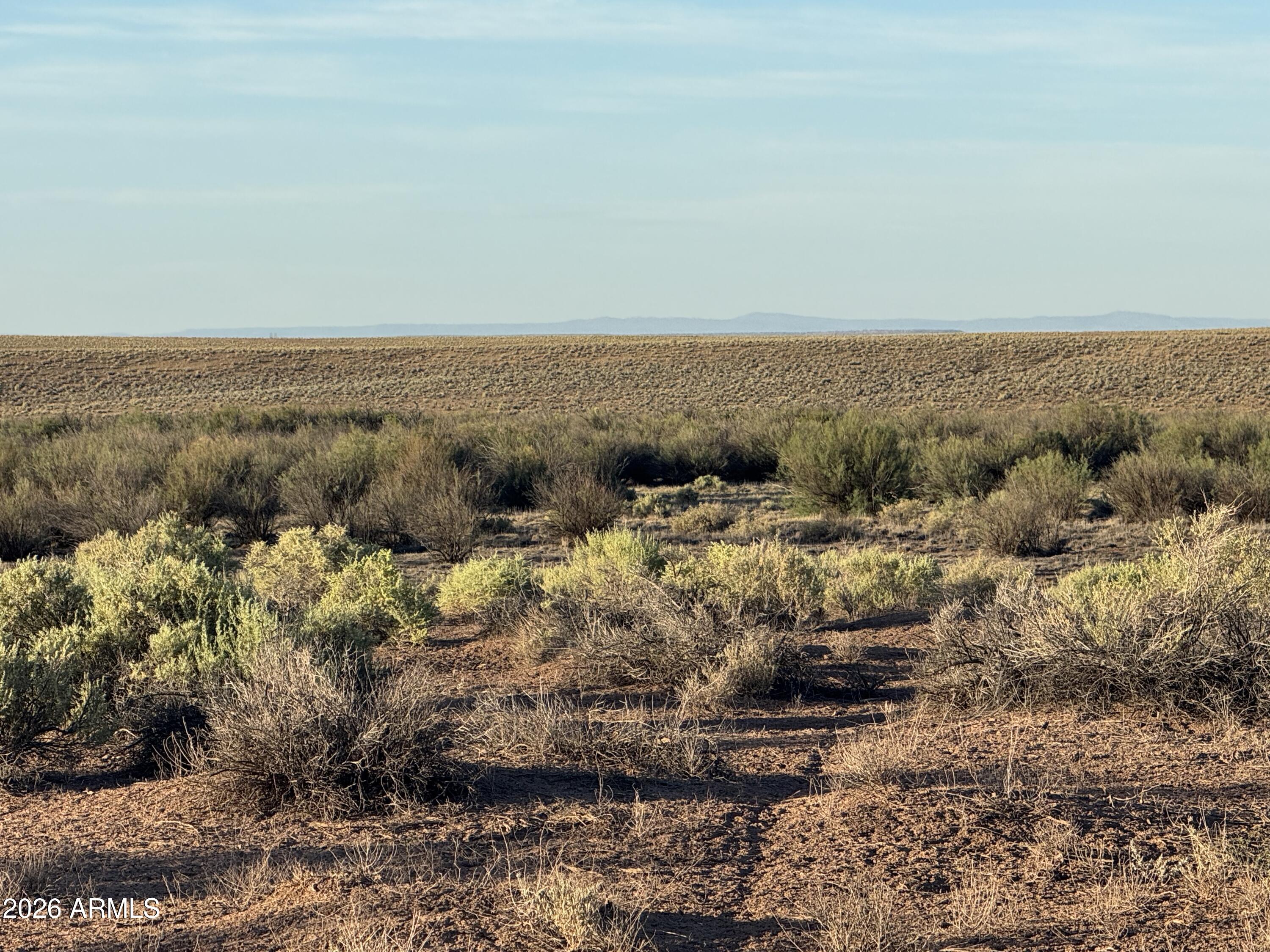 Lot 445 Carrizo Ranch, Unit 445 St. Johns, AZ 85936 - Photo 13 of 17 IMG_1880